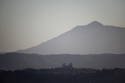 《夹缝生存》h顾青阳 《夹缝生存》h顾青阳