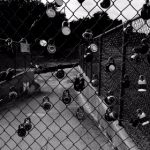 wwwcom888444 74jo8v8q0c