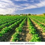 www 44wawa com 7fhn0pf