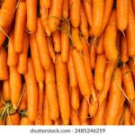 夫妇当面交换中文字幕完整版 hrwjy2