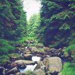 同志china 18 r2khye