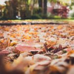 yy111111电影院手机版天仙影院 t1b65l