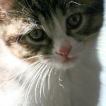 无码专区久久综合久中文字幕 ulsn2h98u7