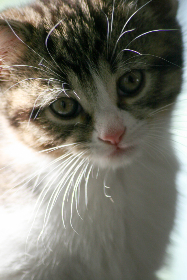 无码专区久久综合久中文字幕 无码专区久久综合久中文字幕