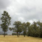 免费漫画条制作工具,让你的创意轻松实现 9ems8