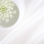 免费漫画排行榜:2023年最受欢迎的免费漫画推荐与分析 jxxcz5936